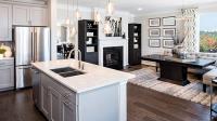 Mount Vineyard Townhomes by Pulte Homes image 3